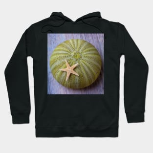 Sea Urchin With Starfish Hoodie